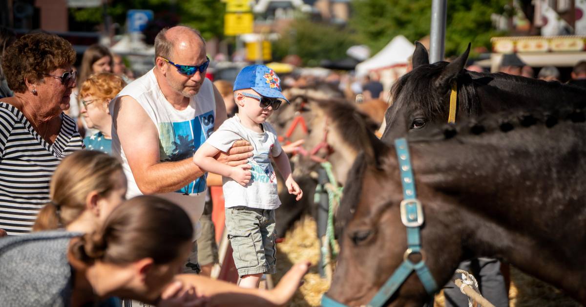 De paardenmarkt van Elst zit (voorzichtig) in de lift ‘We zien al meer