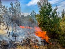 Bosbrand op terrein van luchtmacht in buitengebied Uddel
