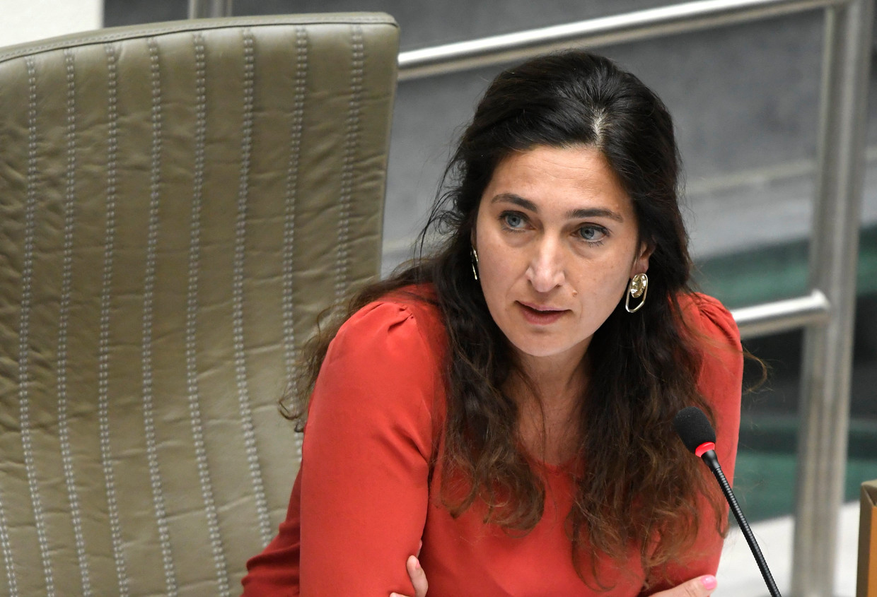 Vlaams Minister Zuhal Demir N VA Blokkeert Belgische Oproep Tot Meer 