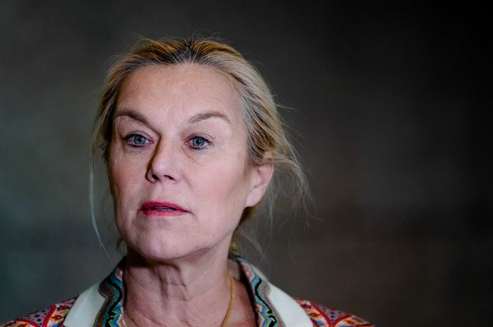 D66-leider Sigrid Kaag zou boeren ten onrechte hebben weggezet als 'een soort terroristen'.