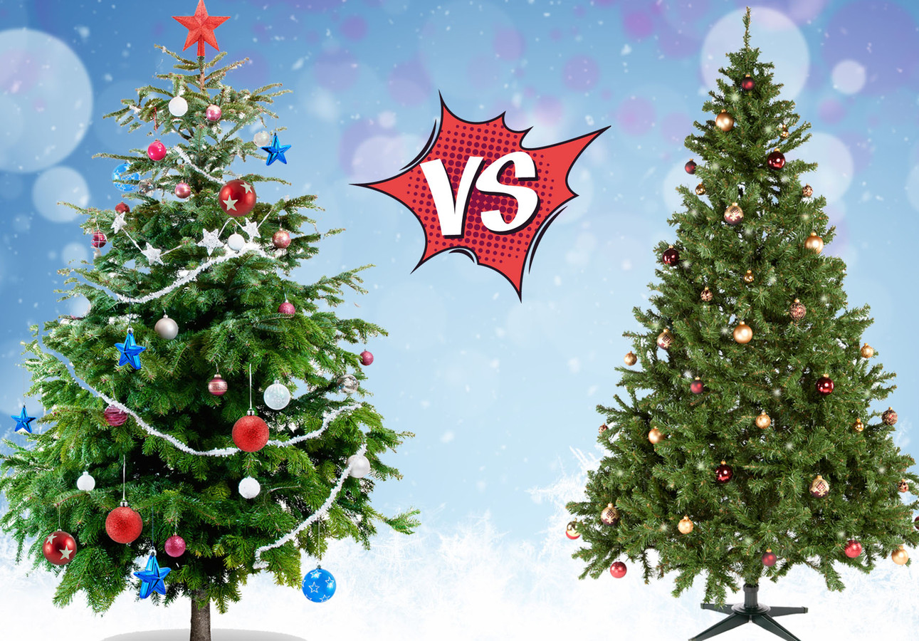 Welke is het beste voor het milieu een echte kerstboom of nep