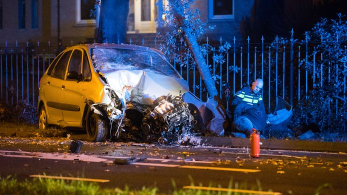 De auto kwam na de crash tegen een boom tot stilstand.
