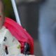 Bezeten baby dwaalt door Manhattan