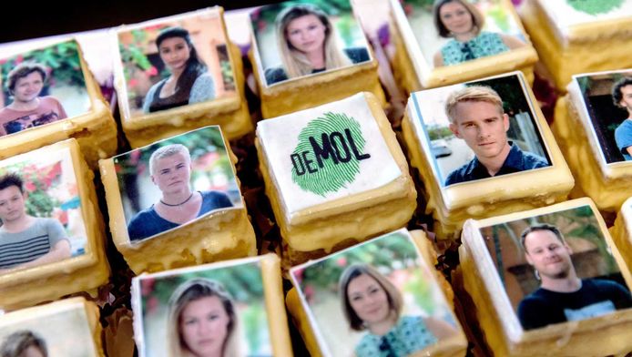 Zwarte Vrijstelling De Moltalk Barst Weer Los Tv Radio Ad Nl