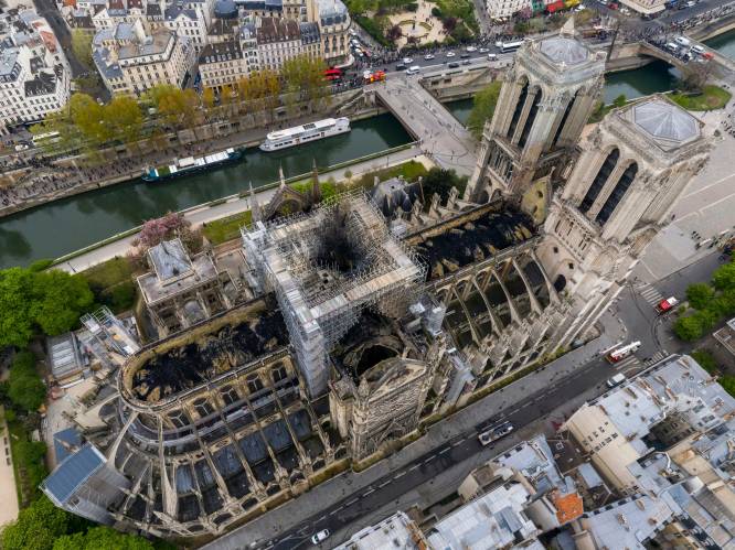 Waarom de Notre-Dame elke cent waard is: francofiel Bart Van Loo brengt ode aan dé kathedraal van Europa