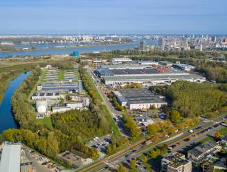 Stad pakt domein rond bedrijvensite Kielsbroek aan: werken gepland in 2024