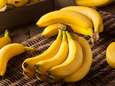 "Onderzoekers KU Leuven leveren vitaminerijke bananen aan Oost-Afrika"