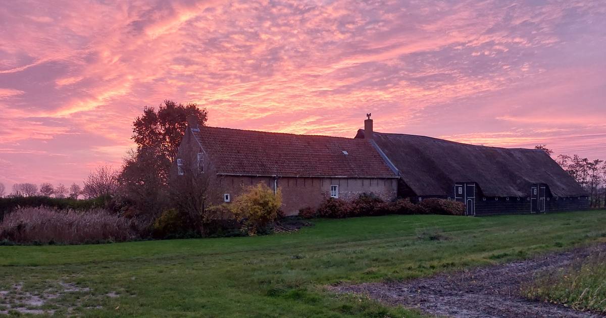 MIJN FOTO Zo zou iedereen wel in Baarland willen wonen Van de lezer