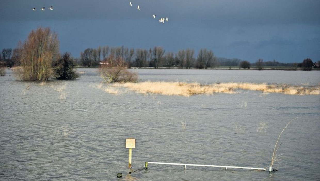 De Ooijpolder bij Nijmegen Beeld Koen Verheijden