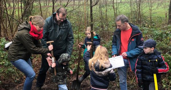 Nieuwe boom in Achtmaal markeert einde Henriëtte Roland Holstjaar - BN DeStem