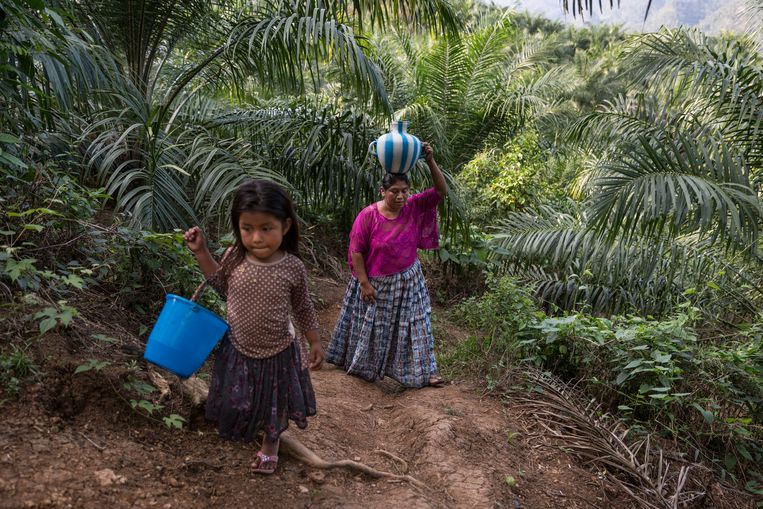 Angelina Bal  zegt dat het drinkwater een gelige kleur kreeg toen de palmoliebedrijven in de omgeving hun plantages begonnen aan te leggen. Met haar dochtertje is ze op zoek naar schoon water. Beeld Fabio Erdos/ActionAid