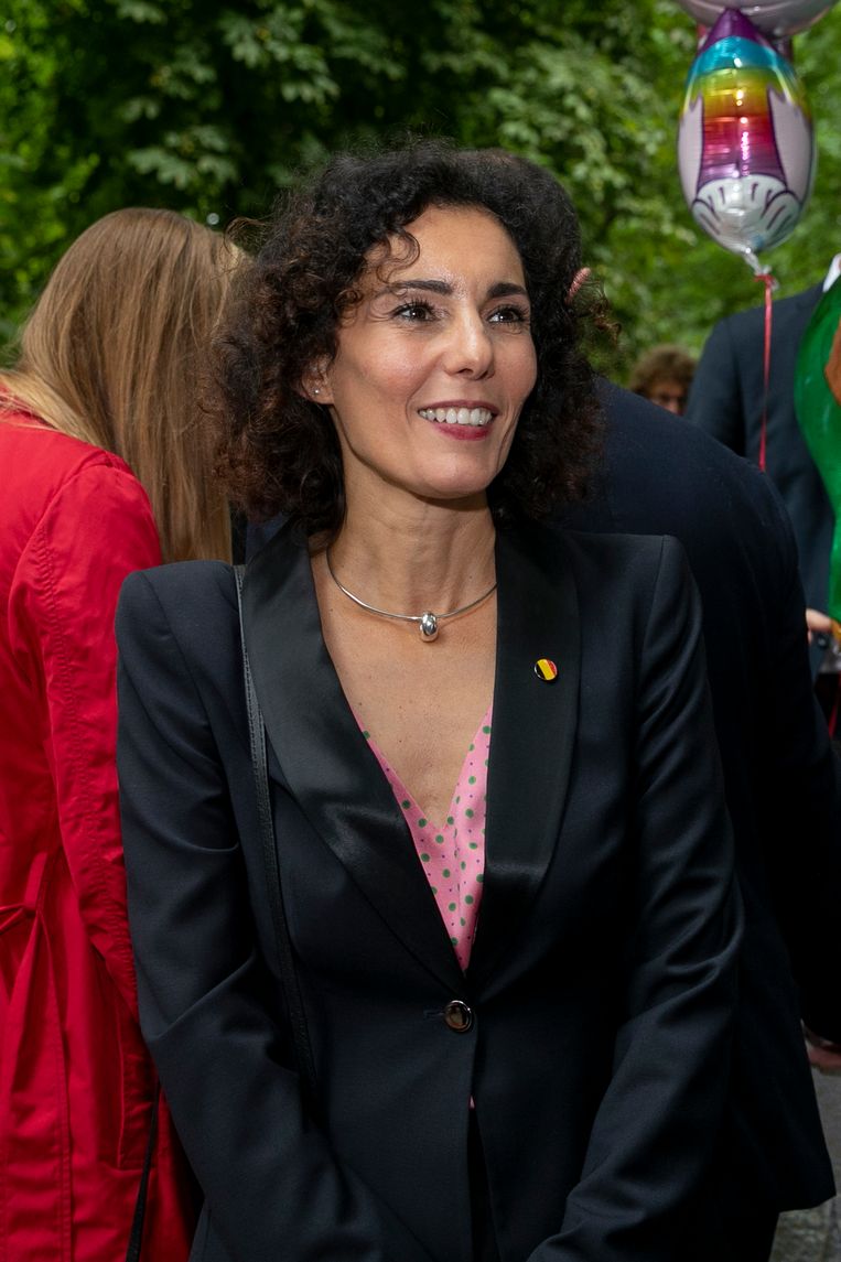 E n Aanpassing Op De Pagina Van Minister Lahbib Deed Bij N VA Het Alarm 