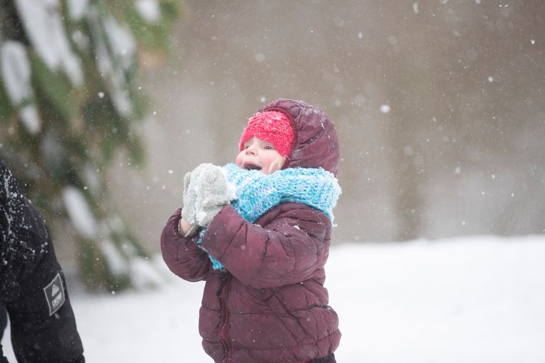 Sneeuw in Brugge. Beeld Simon Mouton Photo News