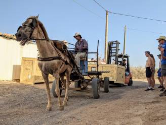 Leuvense zonnewagen toegekomen op Solar Challenge Morocco…met paard en kar