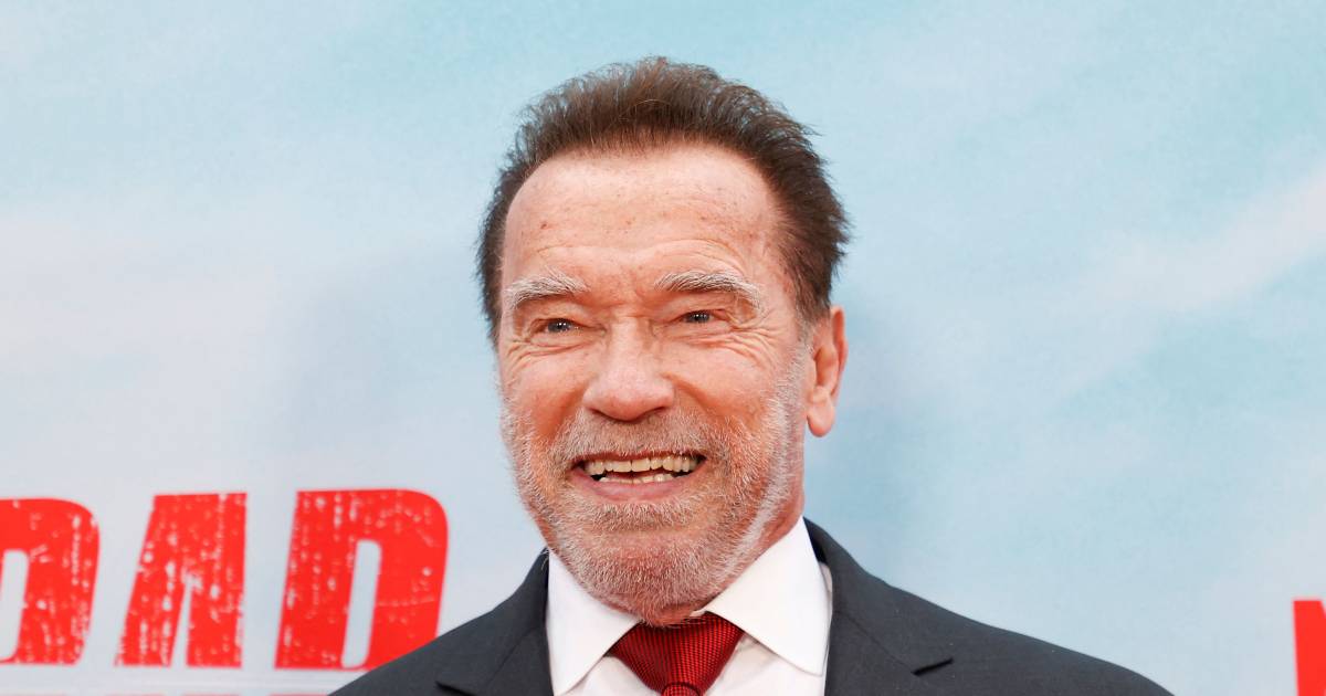 Arnold Schwarzenegger detained at Munich airport by customs |  Displays
