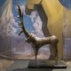 Tips voor het weekend: kunstschatten uit het oude Armenië of maak een paddenstoelenwandeling