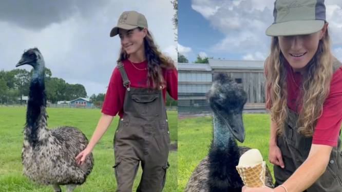 Stoute emoe Emmanuel verovert de wereld in hilarische filmpjes