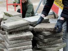 Gratis planten in ruil voor tuintegels bij Intratuin