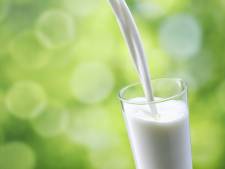 Is het goed om ‘melk’ van erwten, haver of amandelen te drinken?