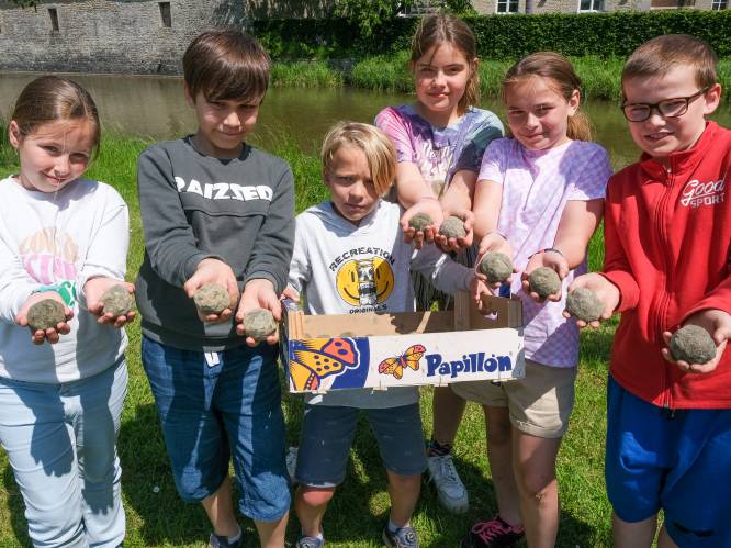 Leerlingen Sint-Cajetanusschool maken zelf vijverballen om vervuild water op milieuvriendelijke manier te zuiveren