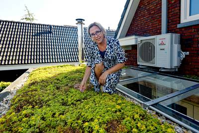 Feestje voor vogels en insecten in Den Dungen: 500 vierkante meter aan groene daken erbij