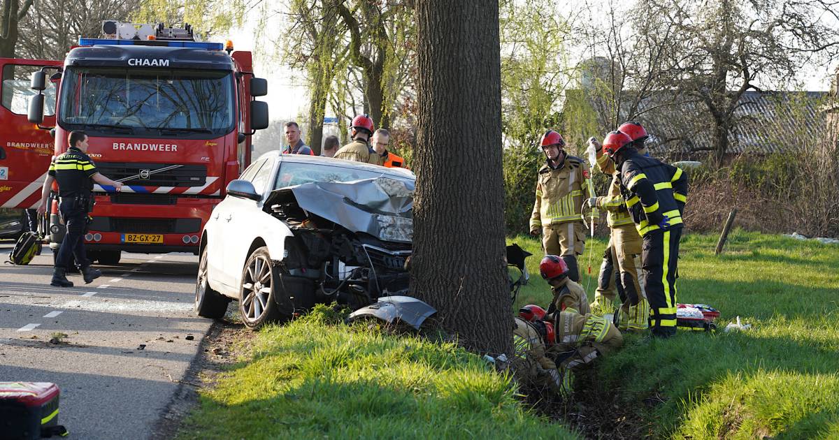 Twee kinderen overleden na ongeval in Chaam, nog niet duidelijk hoe auto tegen boom kon rijden.