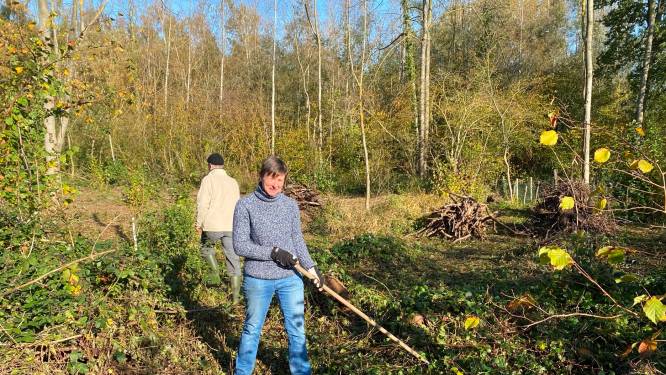 Beheerwerken: plantactie in Papegembos