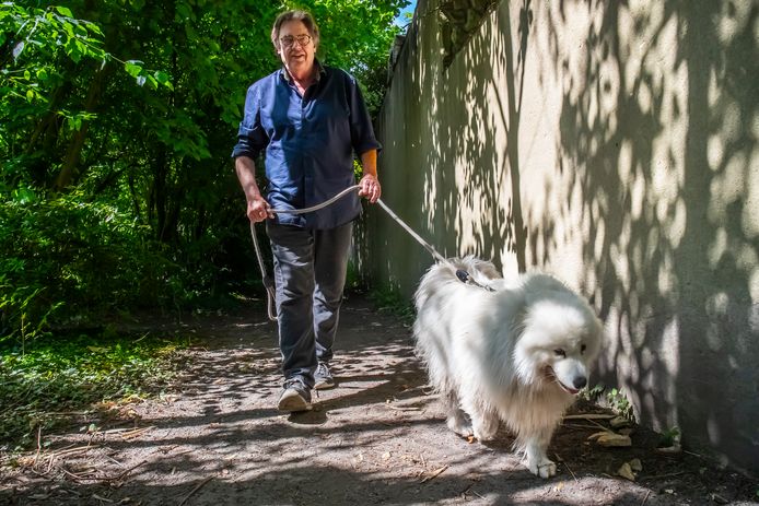 Henk Westbroek met zijn hond Jojo (3) om de hoek bij zijn huis in Rijnsweerd.