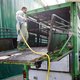 Roemenië ruimt megastal met 140.000 varkens wegens Afrikaanse varkenspest