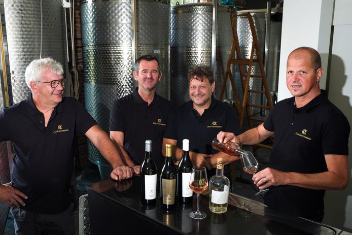 De wijnboeren Pol Corluy, Johan Meulepas, Peter Melders en Lode Van den Brande. 