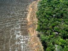 Ontbossing Amazonegebied Brazilië op hoogste niveau sinds 2008