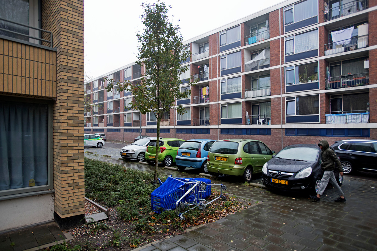null Beeld Olaf Kraak