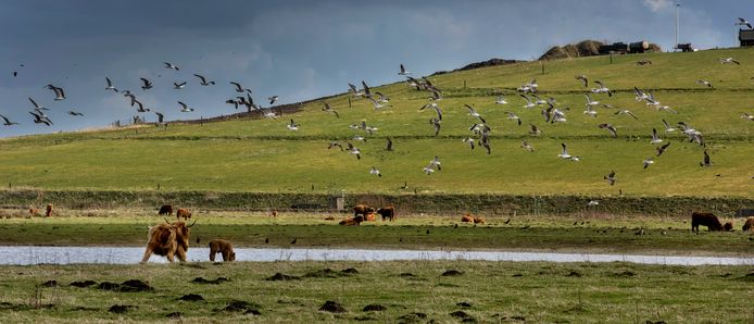 De afvalberg van De Spinder, pal tegen natuurgebied Huis ter Heide, is onderdeel van Landschapspark Pauwels.