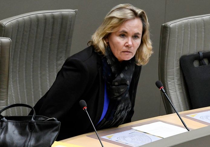 Vlaams minister van Wonen Liesbeth Homans.