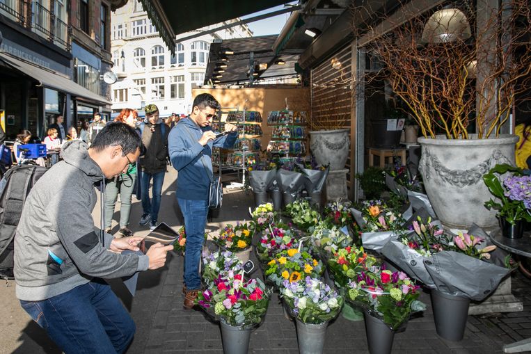 Vianen Flowers Nl