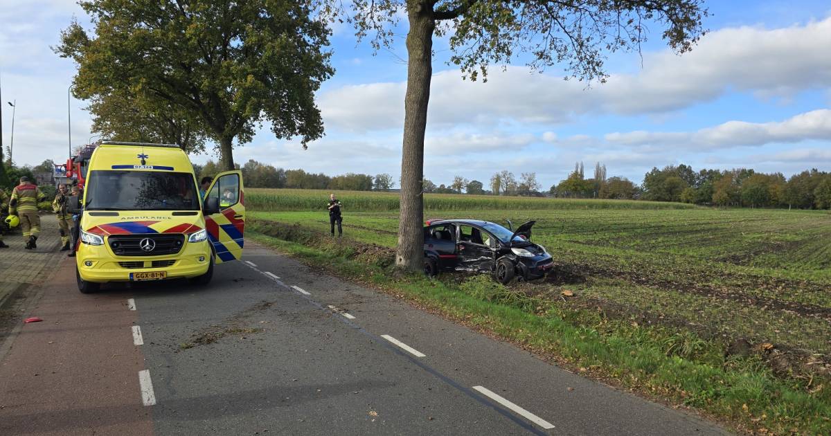 Vrouw en kind gewond door botsing tegen boom bij Lunteren.