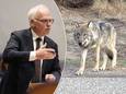 Minister Piet Adema van Landbouw is duidelijk over de wolf.