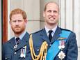 Harry en William