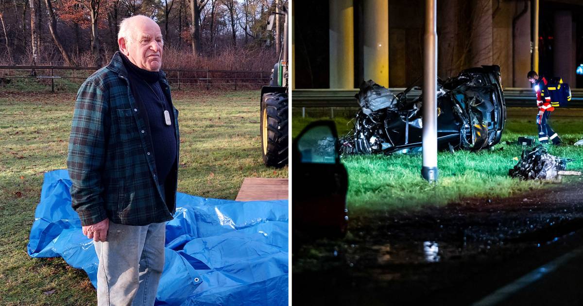 Pony verscheurd in weiland in Arnhem • Doden bij zeer zware ongelukken.