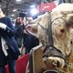 Waarom Franse politici maar boerderijdieren blijven knuffelen in verkiezingstijd