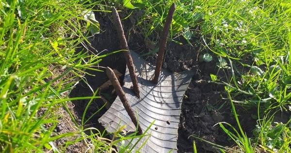 Grote schrik: moeder en zoontje (2) vinden ingegraven val met 10 centimeter lange spijkers - AD.nl