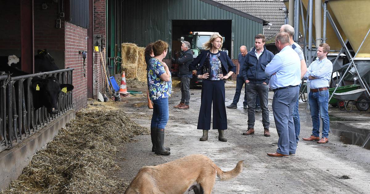 Mona Keijzer op jacht naar stemmen bij Brabantse boeren ...