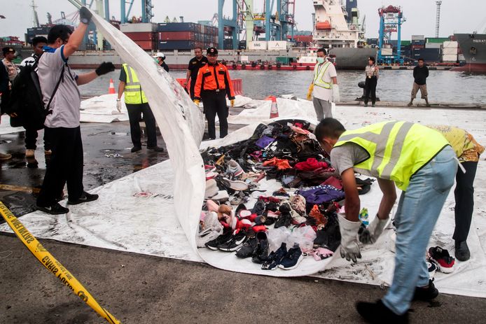 Het vliegtuig van Lion Air crashte in oktober in de Javazee. Alle 189 inzittenden kwamen om.