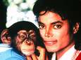 Michael Jacksons aap leeft nog, en moet nu schilderen voor de kost