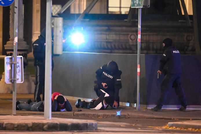 De politie fouilleert twee mannen in Wenen.
