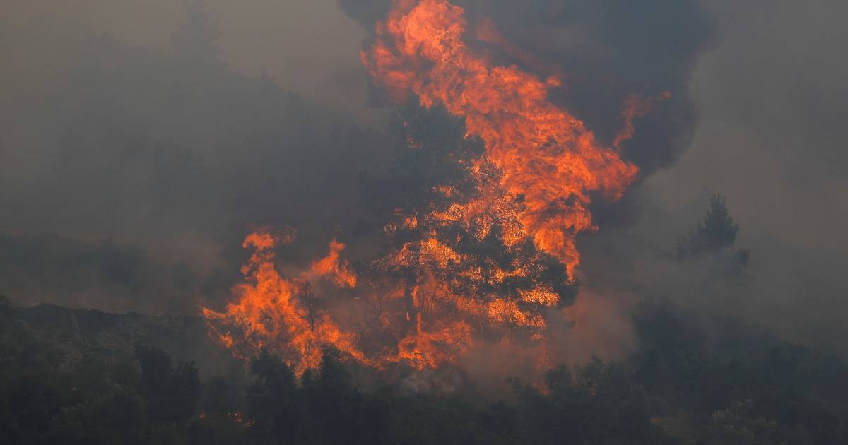 Incendi in Grecia: “Il peggio deve ancora venire” |  all’estero