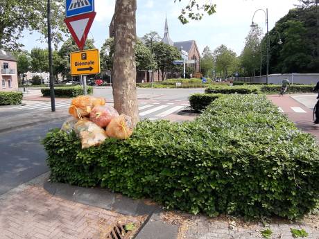 Vuilniszakken gaan hupsakee de beukenhaagjes op in Oosterhout: ‘Weinig plek in de straat’
