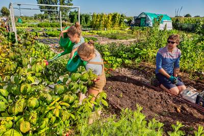 Volkstuinieren een oudemannenhobby? ‘Jongere generaties willen nu ook zelf groente telen’