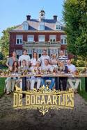 boxcover van De Bogaartjes
