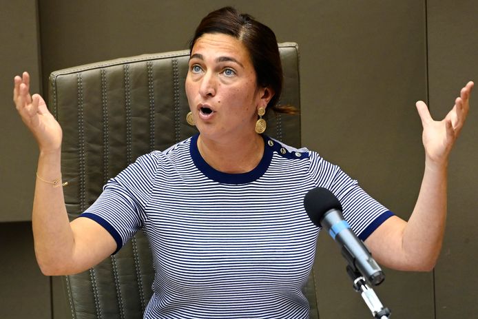 De maatregelen van Vlaams minister van Energie Zuhal Demir leveren een tegemoetkoming van 50 euro op.